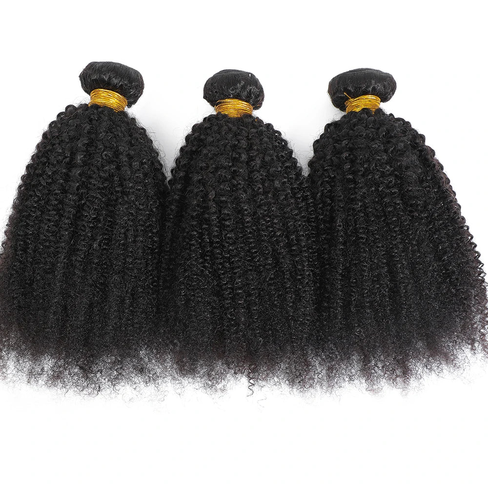 Mechas de Cabelo Humano Afro Kinky Curly Indiano – 4B 4C Virgem | Remy Hair | 8 a 24 Polegadas